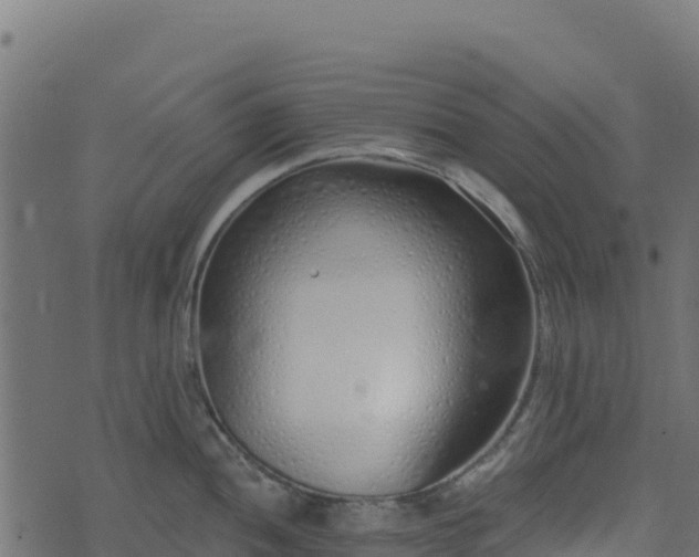 X0000073931052200608181109