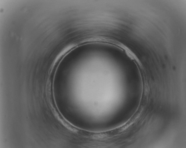 X0000073931053200608181109