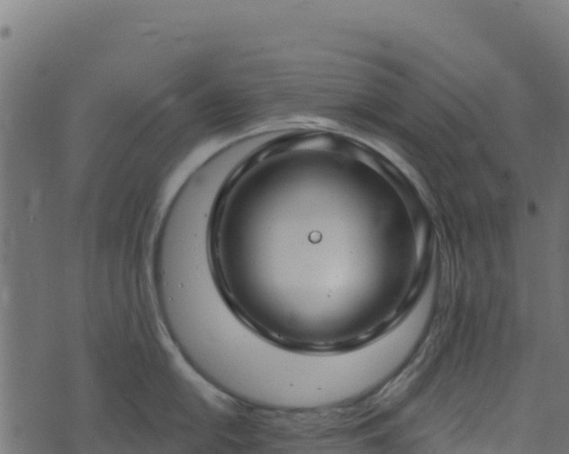 X0000073931054200608181109