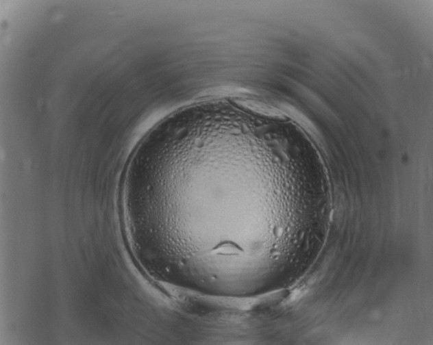 X0000073931055200608181109