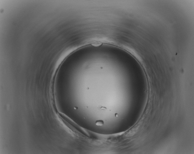 X0000073931056200608181109