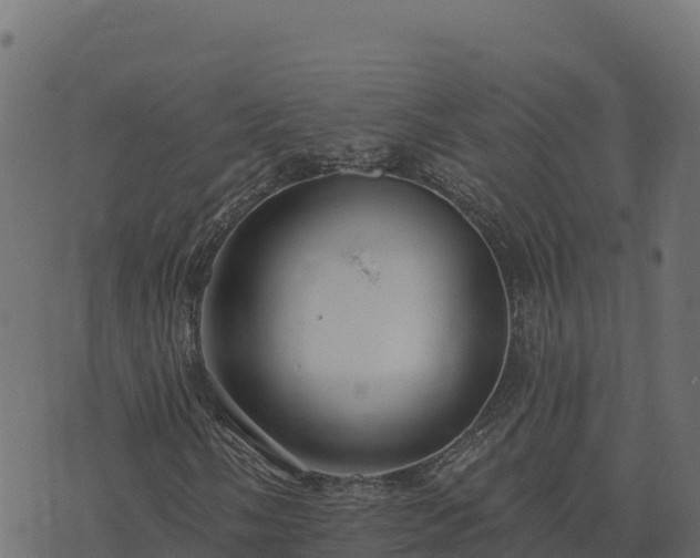 X0000073931058200608181109