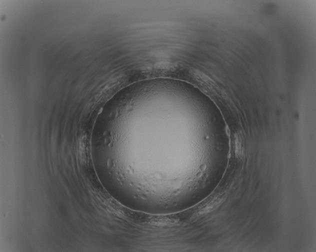 X0000073931059200608181109