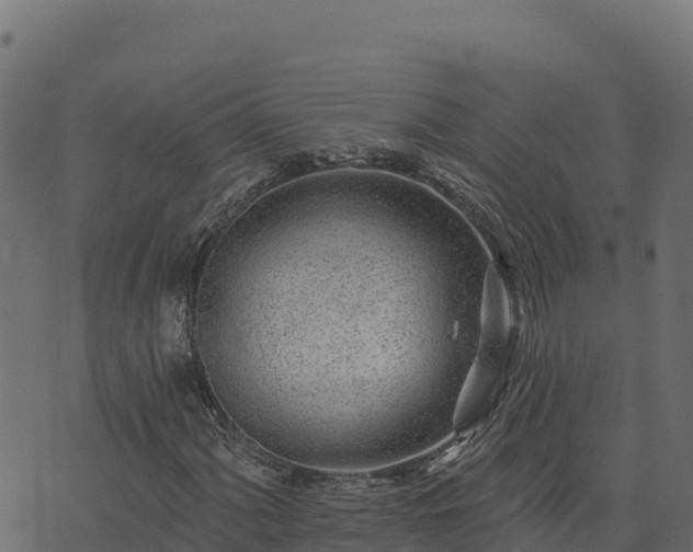 X0000073931060200608181109