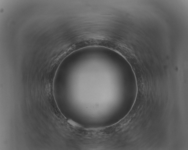 X0000073931061200608181109