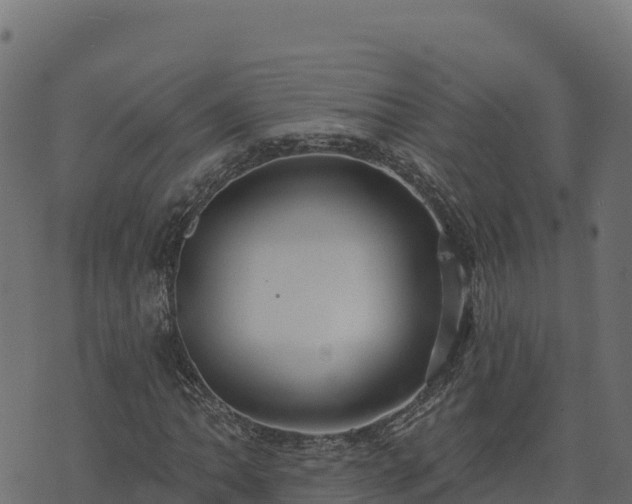 X0000073931062200608181109