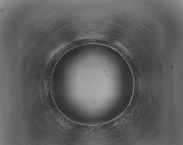 X0000073931064200608181108