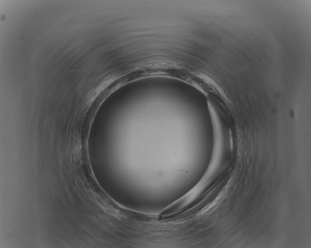 X0000073931065200608181108