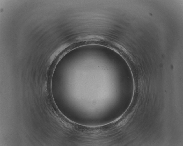 X0000073931066200608181108