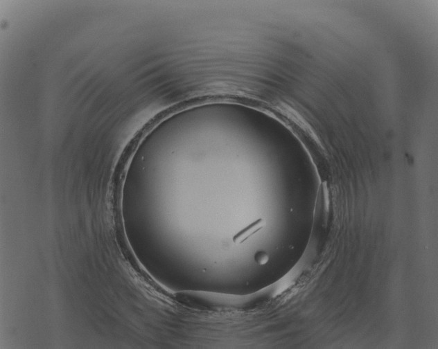 X0000073931068200608181108