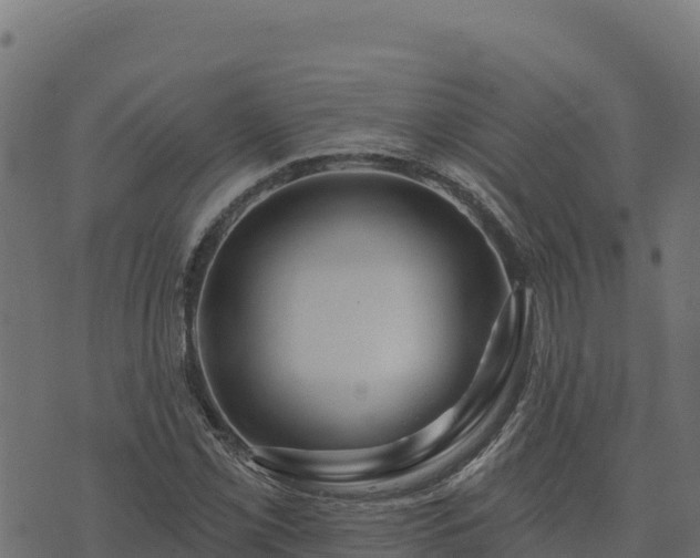 X0000073931069200608181108