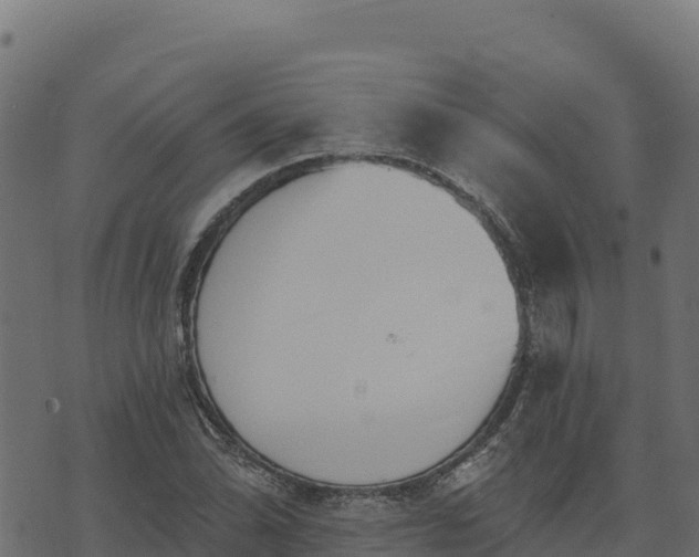 X0000073931070200608181108