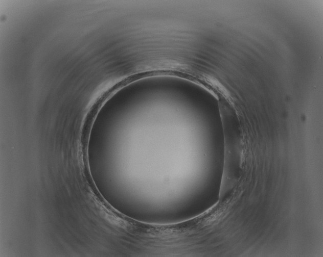 X0000073931072200608181108