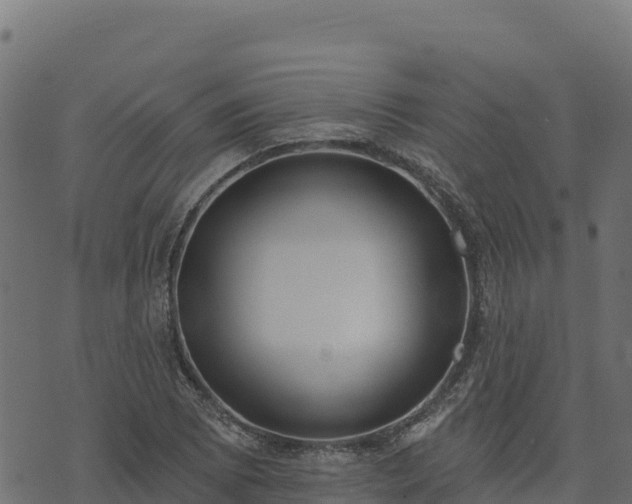 X0000073931073200608181108