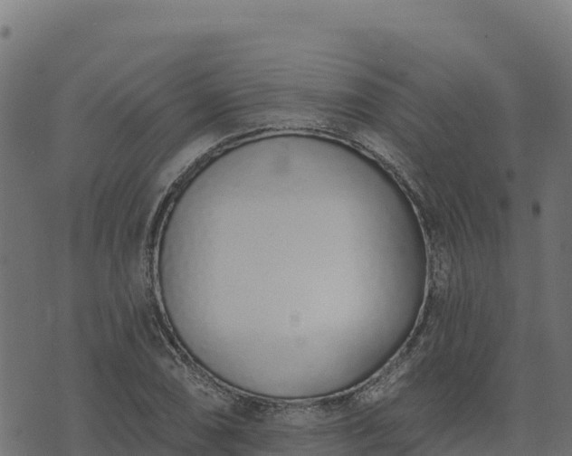 X0000073931074200608181108