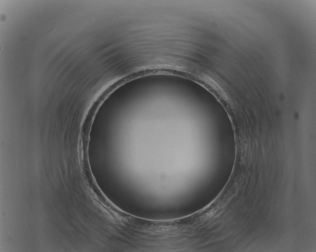 X0000073931076200608181108