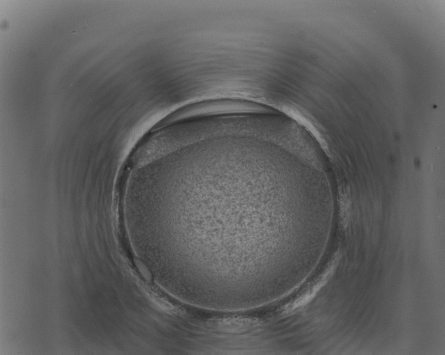 X0000073931077200608181108