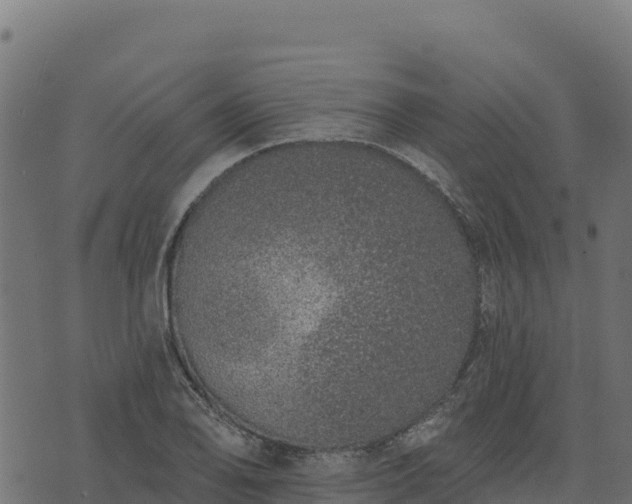 X0000073931078200608181108