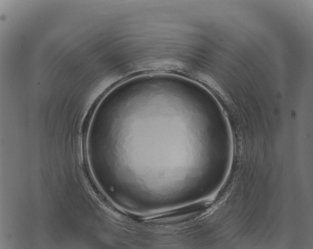 X0000073931079200608181108