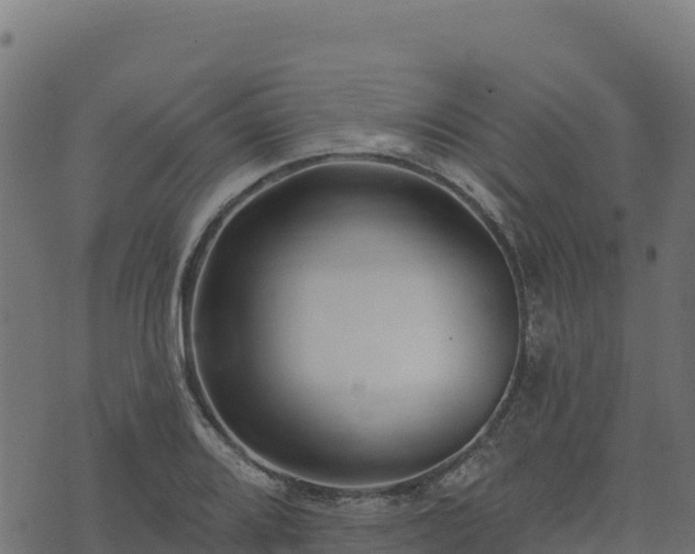 X0000073931080200608181108