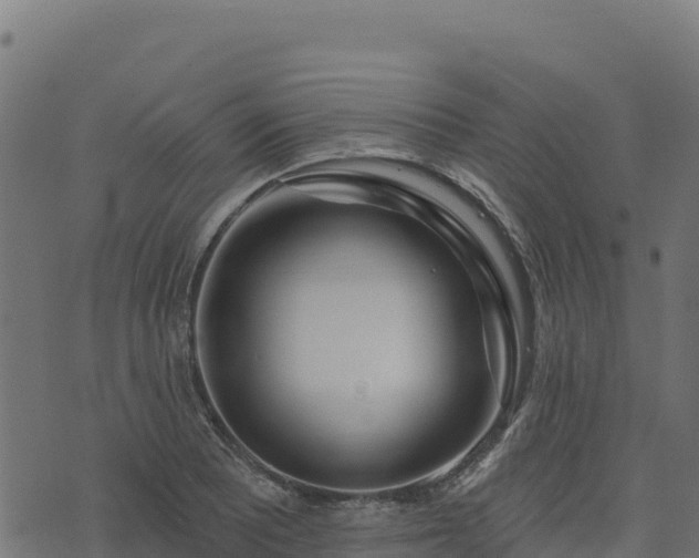 X0000073931081200608181108