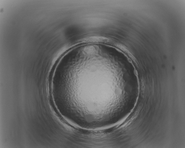 X0000073931083200608181108