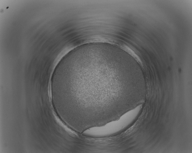 X0000073931084200608181108