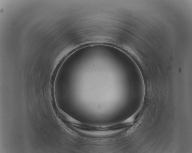 X0000073931085200608181108