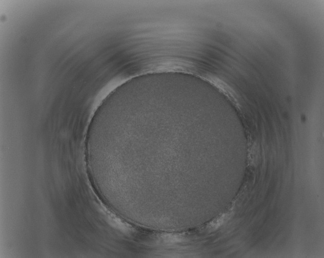 X0000073931086200608181108