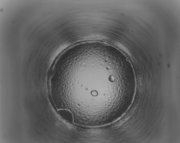 X0000073931087200608181108