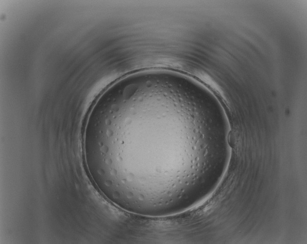 X0000073931088200608181108