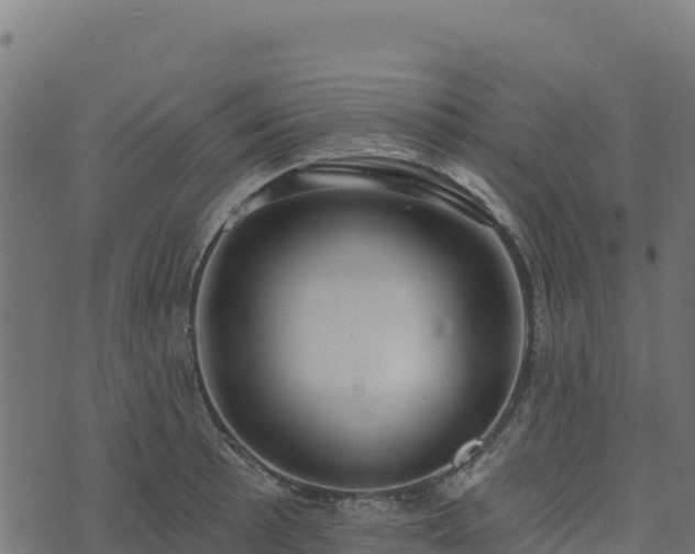 X0000073931089200608181108