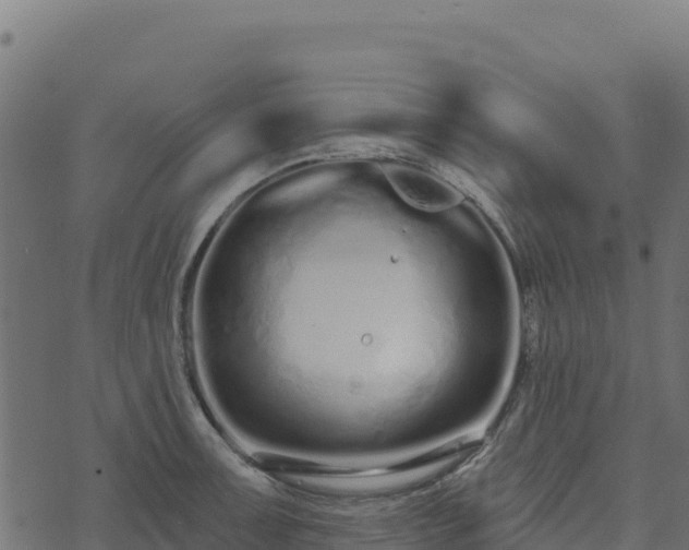 X0000073931091200608181108