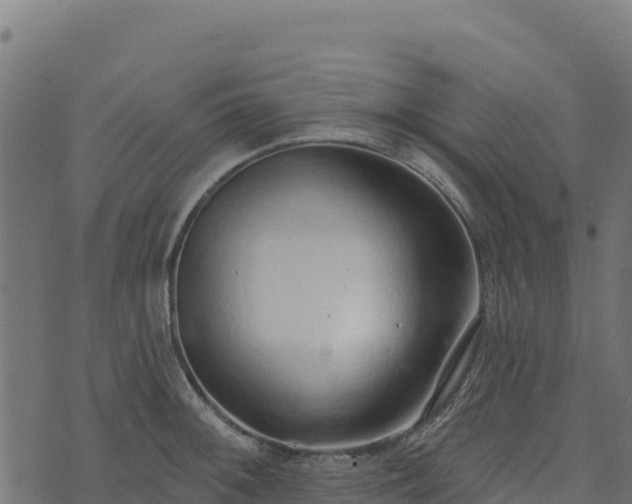 X0000073931092200608181108