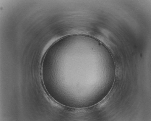 X0000073931094200608181108