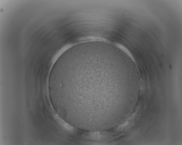 X0000073931098200608181108