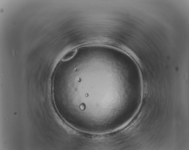 X0000073931099200608181108