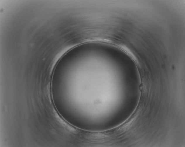 X0000073931100200608181108