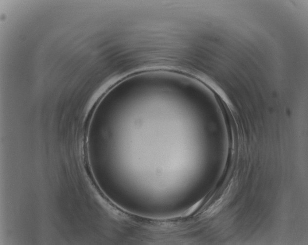 X0000073931101200608181108