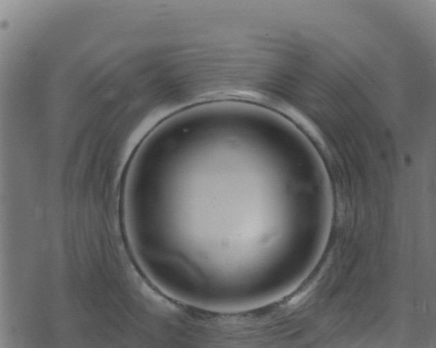 X0000073931102200608181108