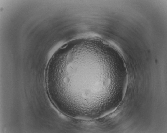 X0000073931103200608181108