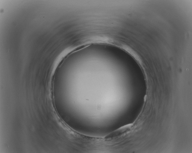 X0000073931104200608181108