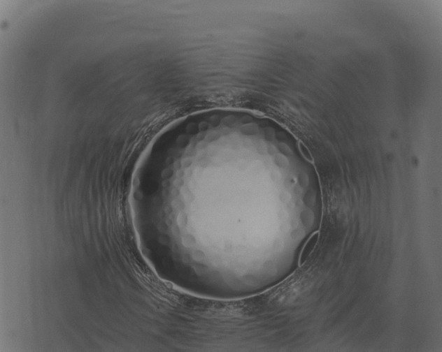 X0000073931106200608181107