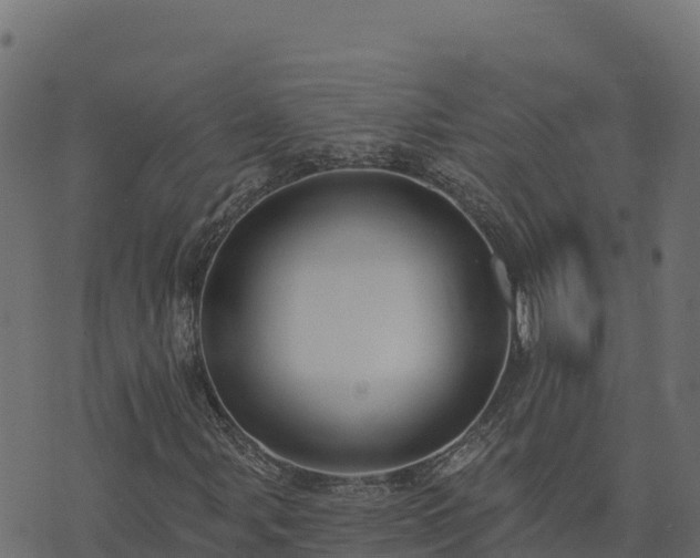 X0000073931107200608181107