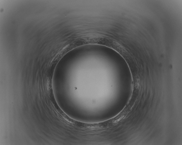 X0000073931108200608181107