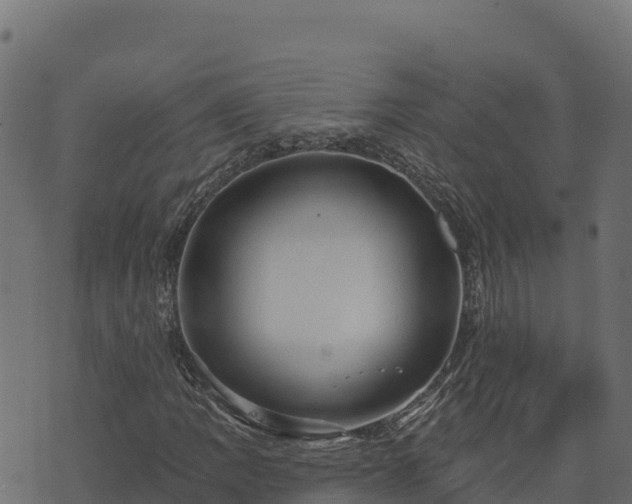 X0000073931109200608181107