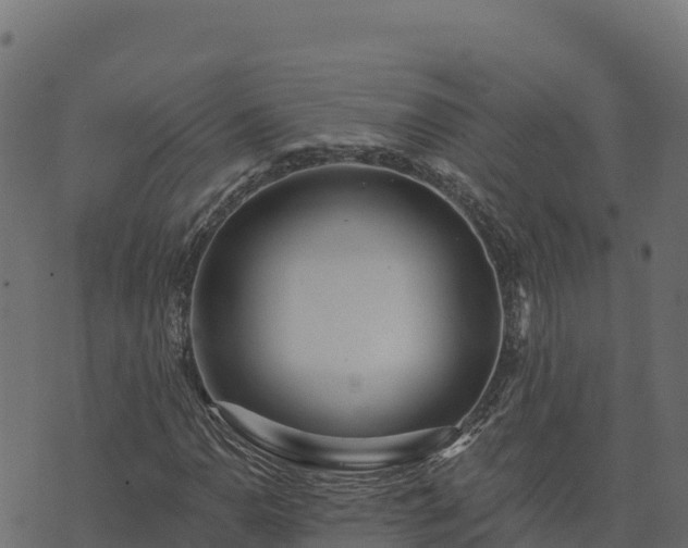 X0000073931110200608181107