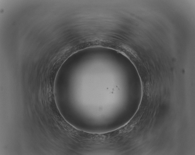 X0000073931111200608181107