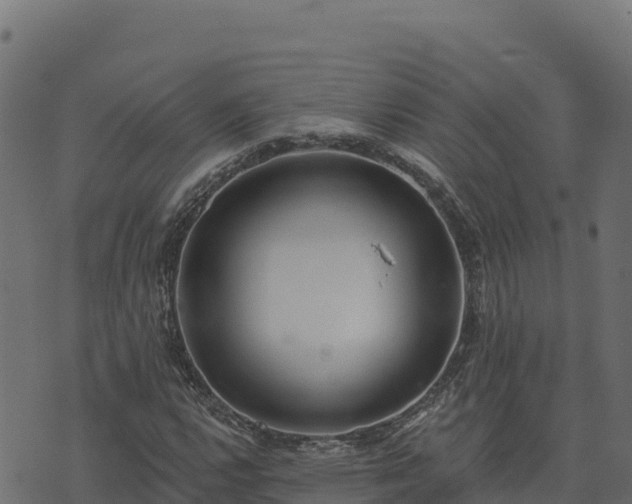 X0000073931112200608181107