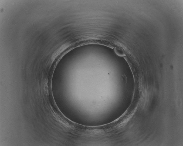 X0000073931113200608181107